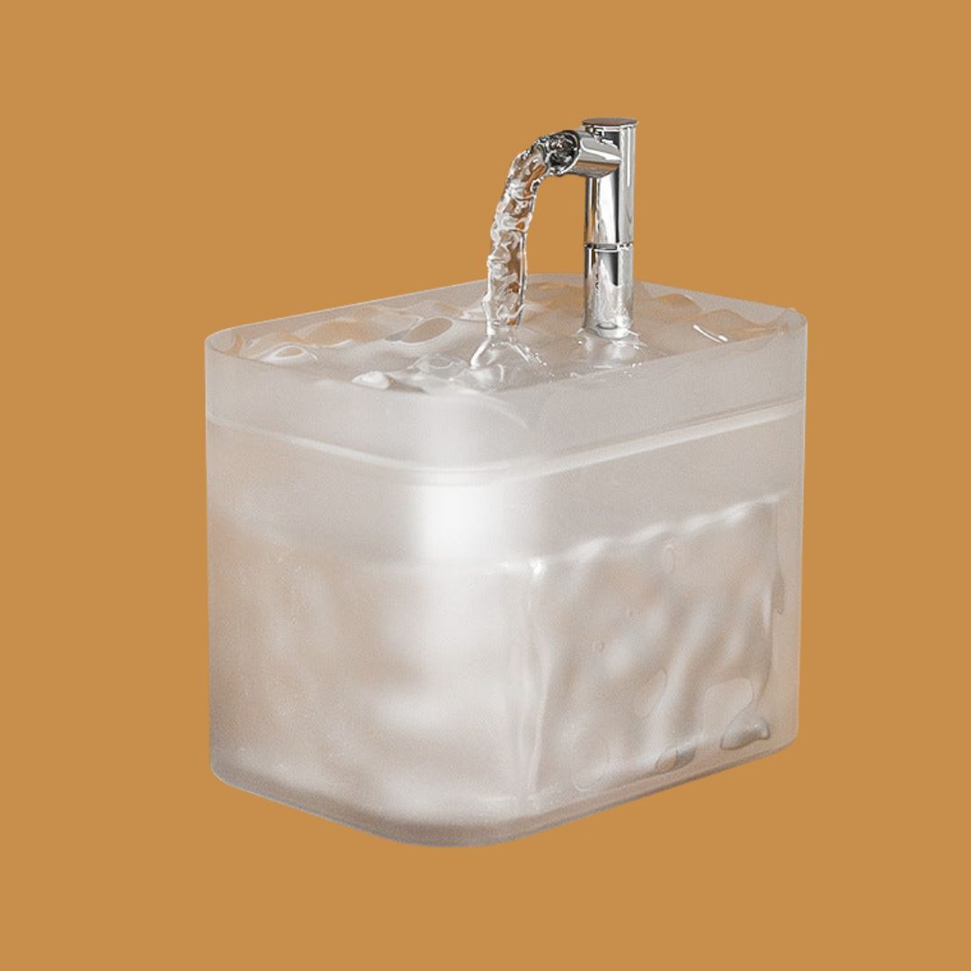 Fontaine Premium Pour Animaux Domestiques Pour Une Eau Propre