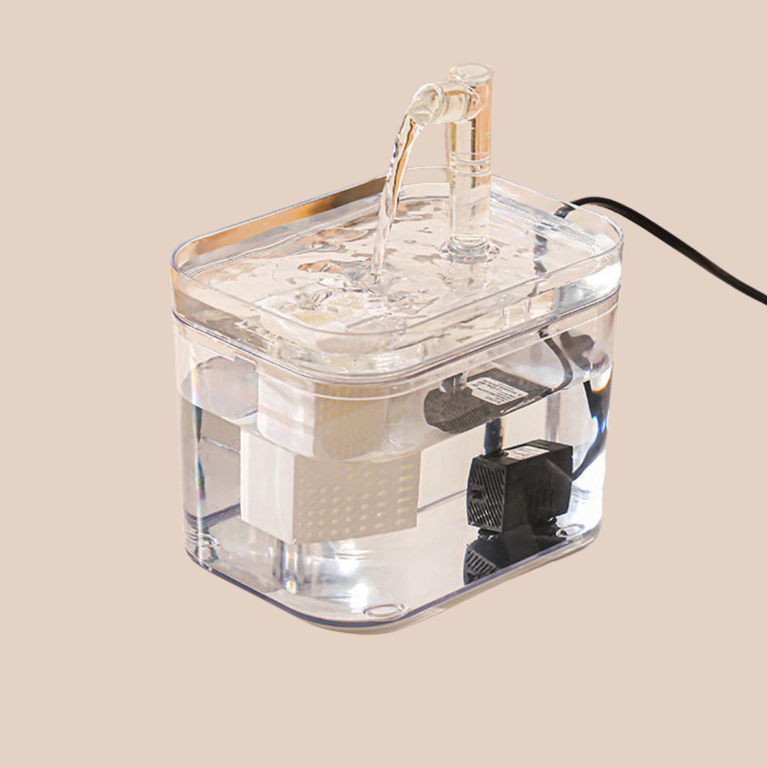 Fontaine Premium Pour Animaux Domestiques Pour Une Eau Propre