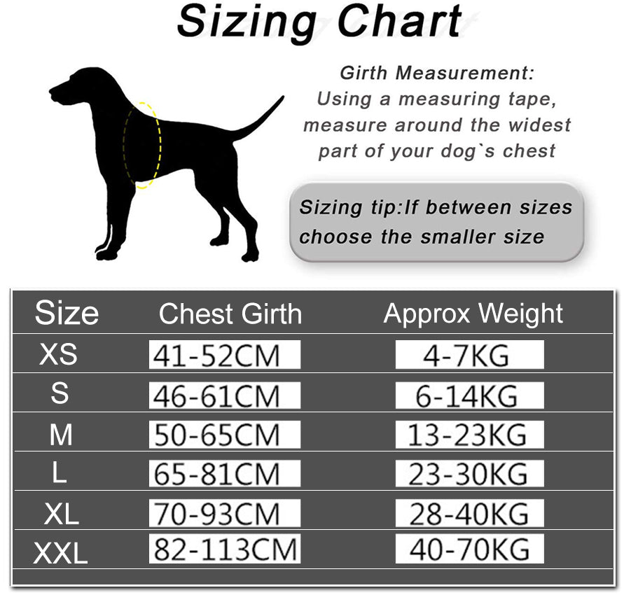 Harnais Personnalisé Anti-traction Pour Chien