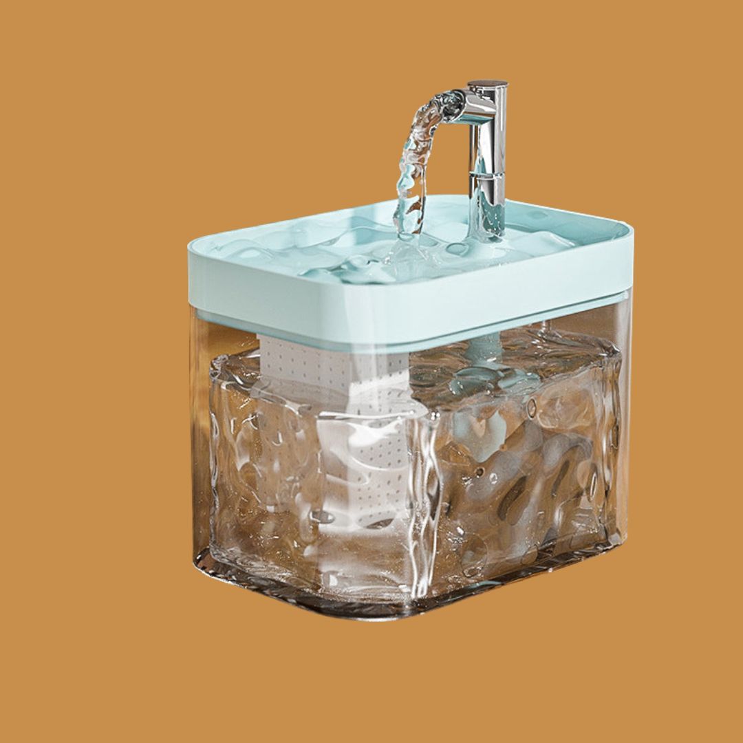 Fontaine Premium Pour Animaux Domestiques Pour Une Eau Propre