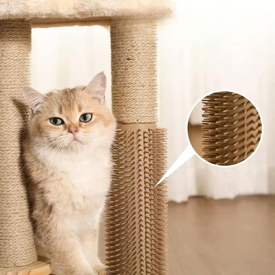 Salon de jeu et de grattage pour chats