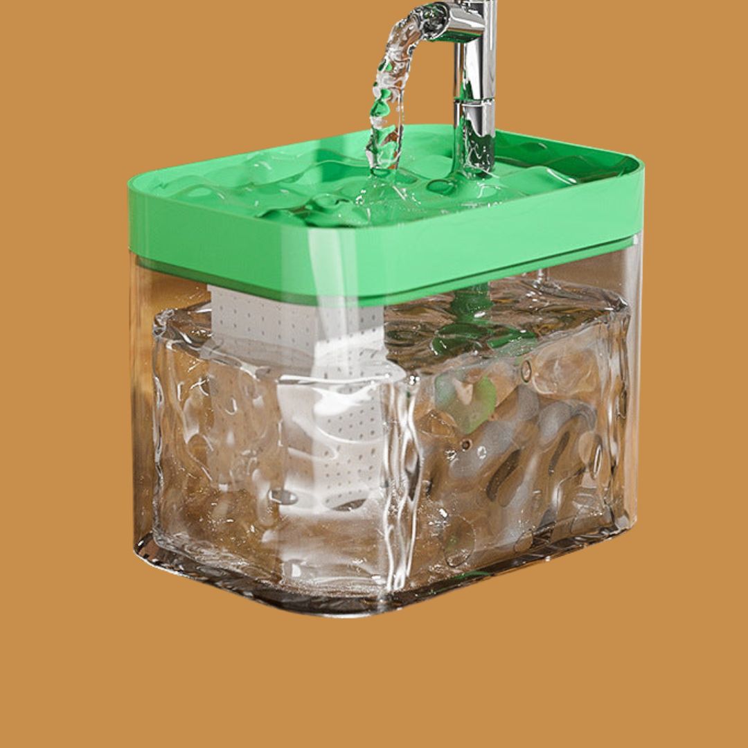 Fontaine Premium Pour Animaux Domestiques Pour Une Eau Propre