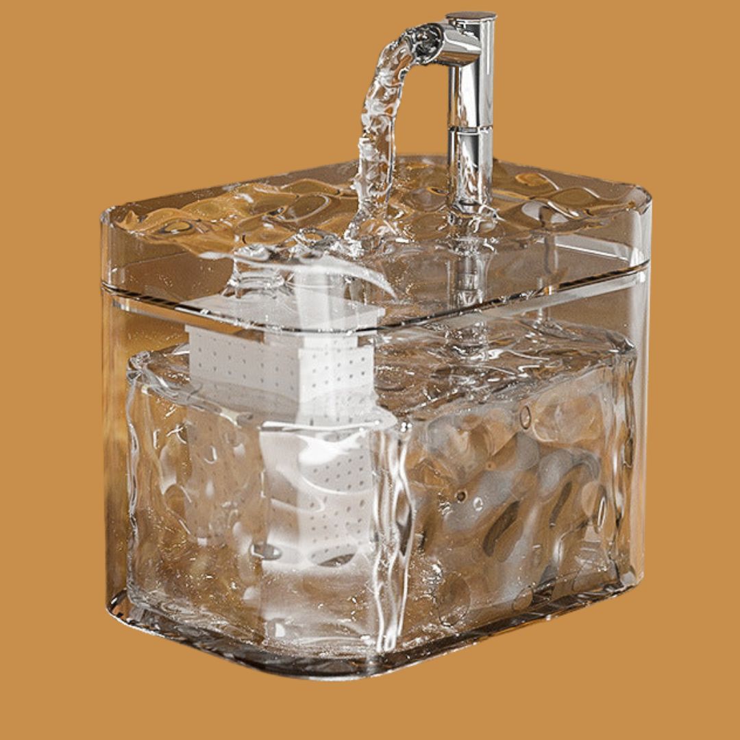 Fontaine Premium Pour Animaux Domestiques Pour Une Eau Propre