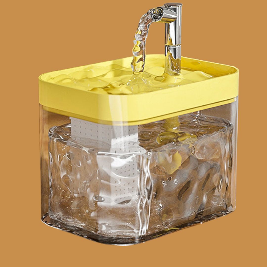 Fontaine Premium Pour Animaux Domestiques Pour Une Eau Propre