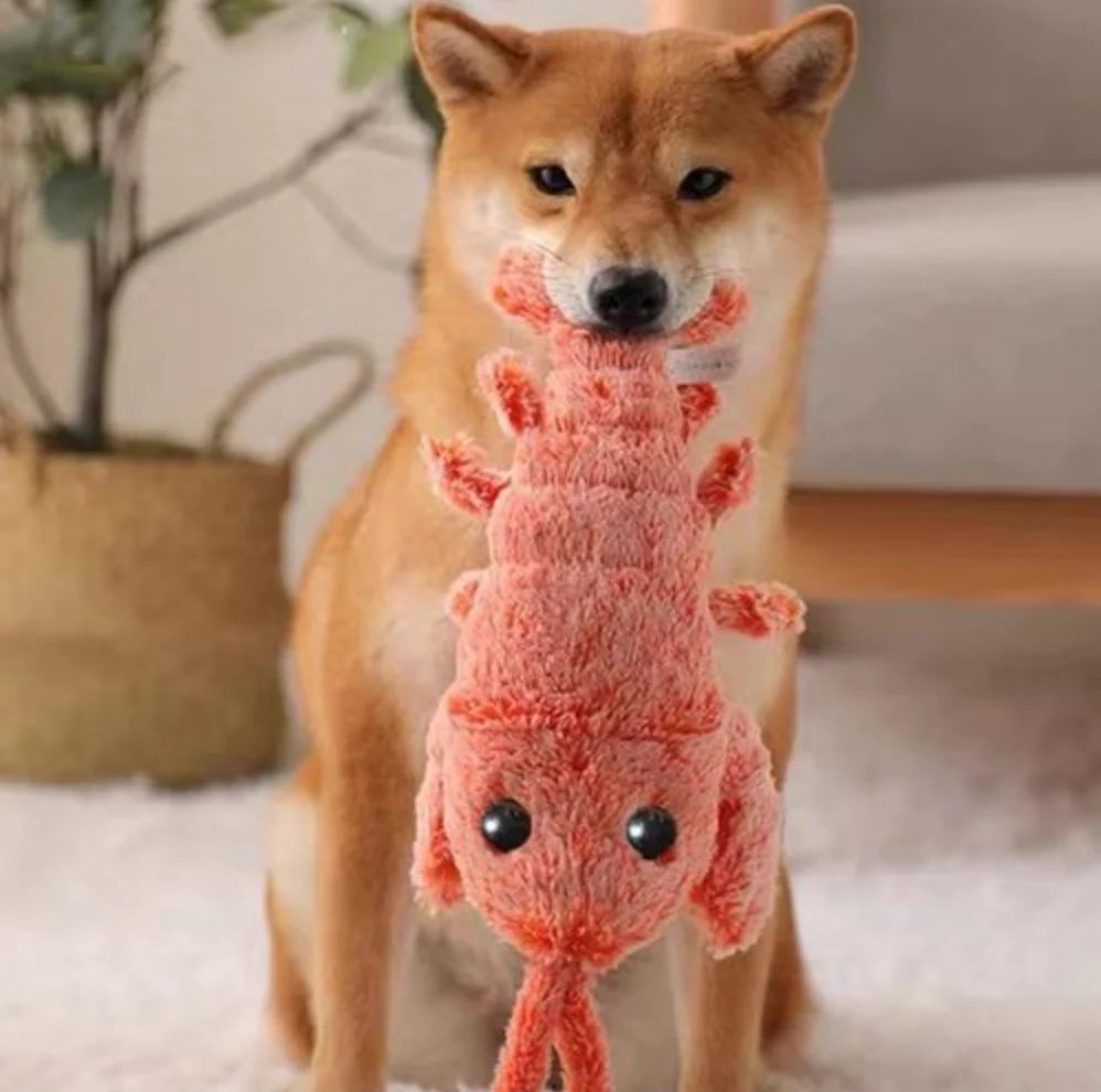 Homard Branlant - Jouet Interactif Pour Chiens