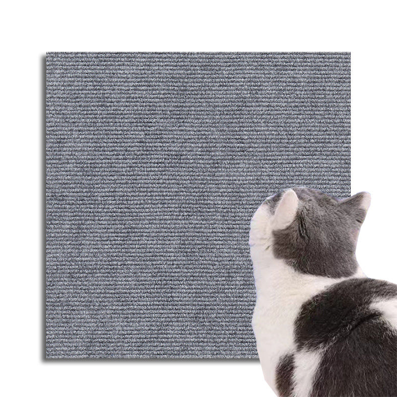 Protection Universelle Contre Les Griffes Des Chats