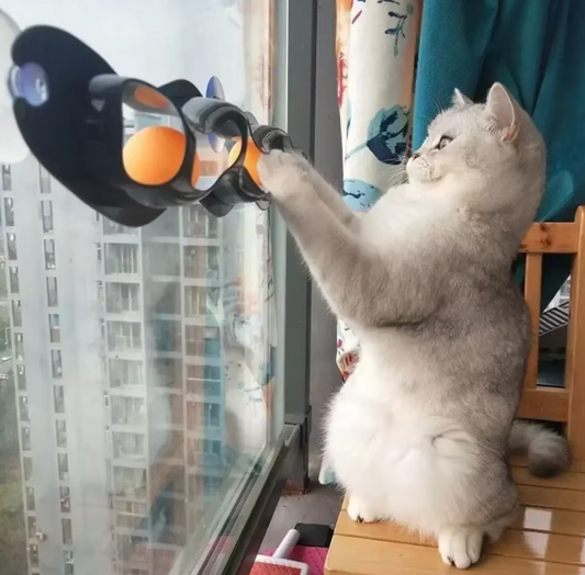Jouets pour Chats de Fenêtre - Piste de Jeu Interactive avec des Balles Mobiles