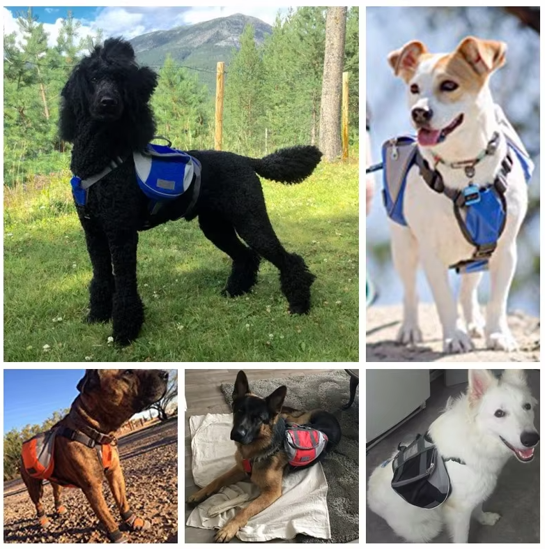 Sac À Dos Pour Chiens Pour Activités De Plein Air - Réglable Et Étanche En Rouge Et Gris