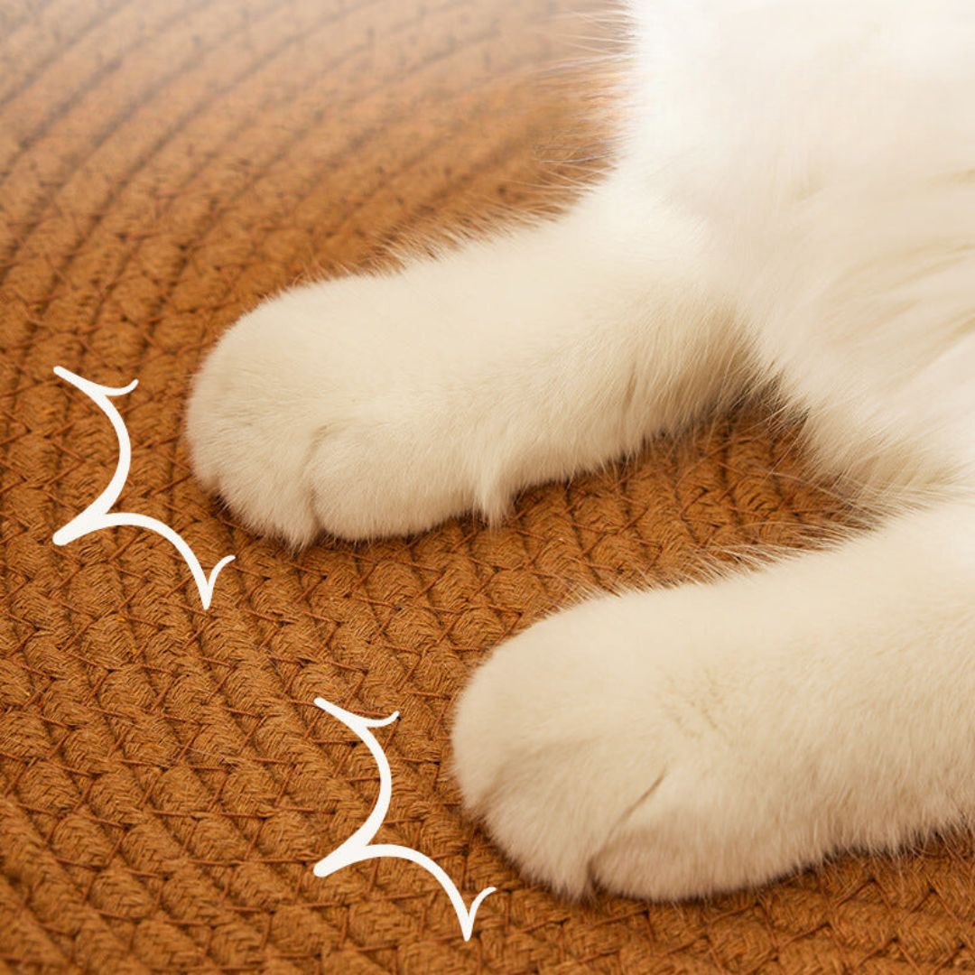 Lit En Rotin Tressé À La Main Pour Chats Avec Surface À Griffer