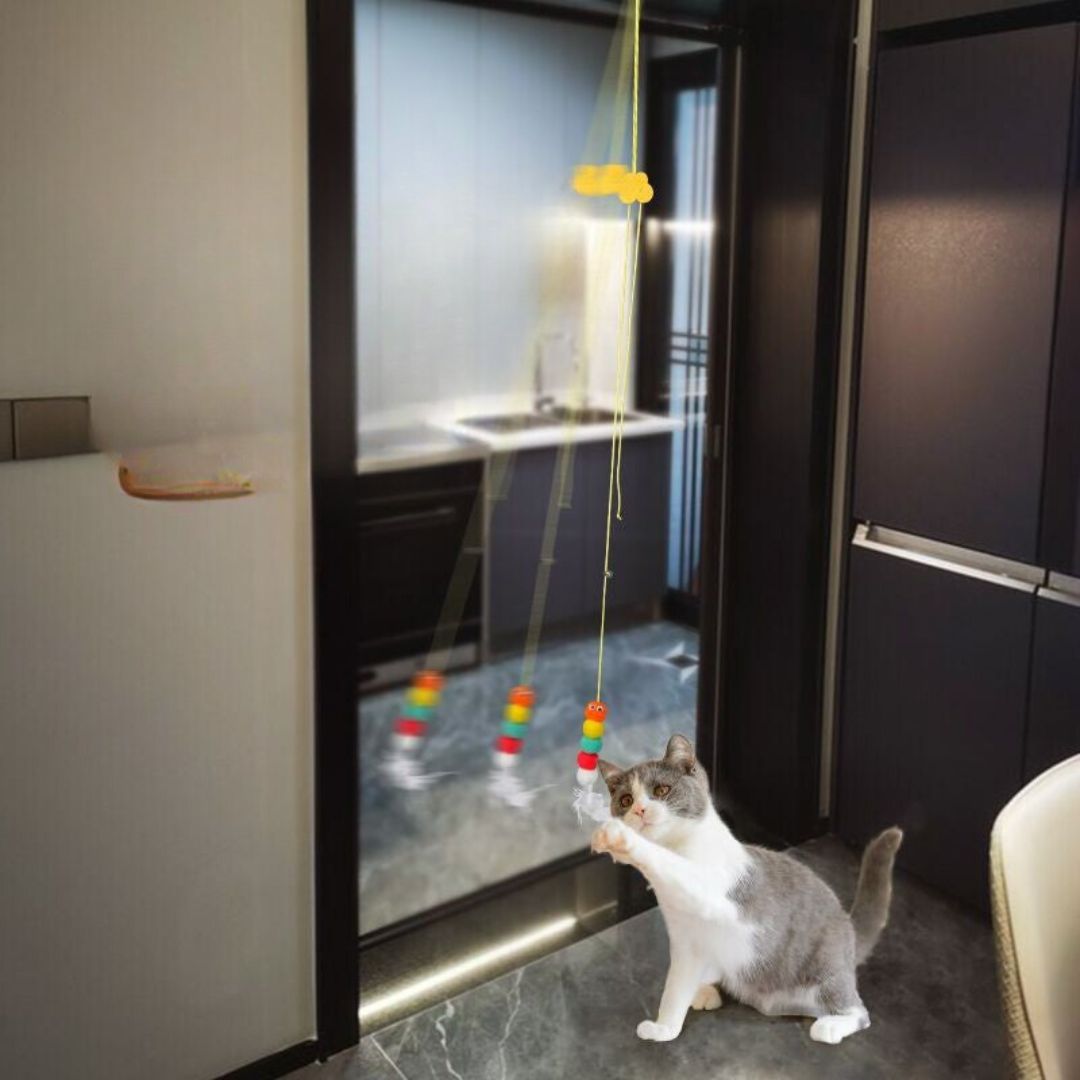 Jouets Pour Chats Suspendus