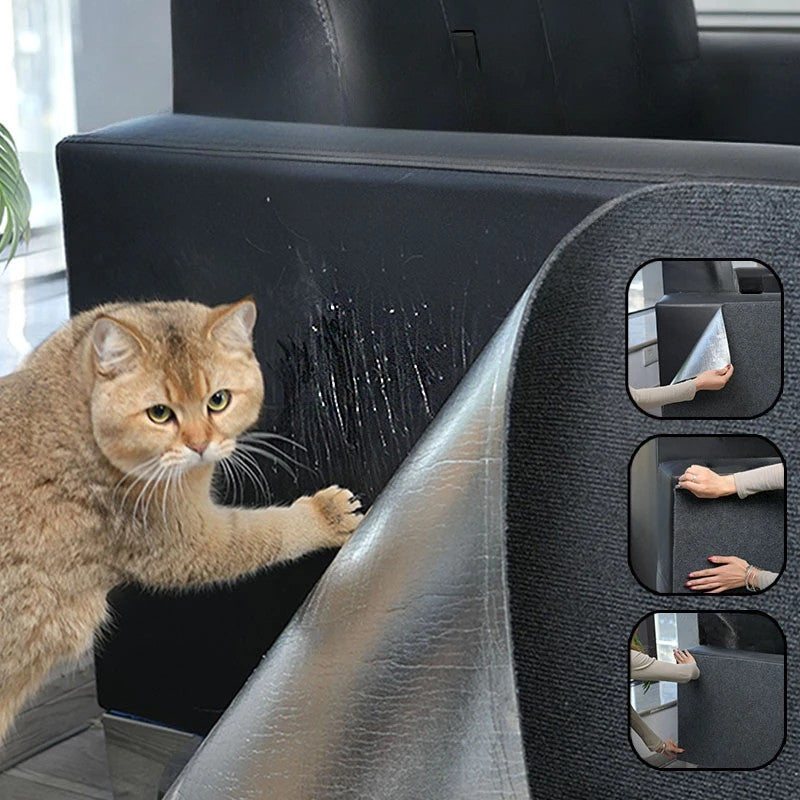 Protection Universelle Contre Les Griffes Des Chats