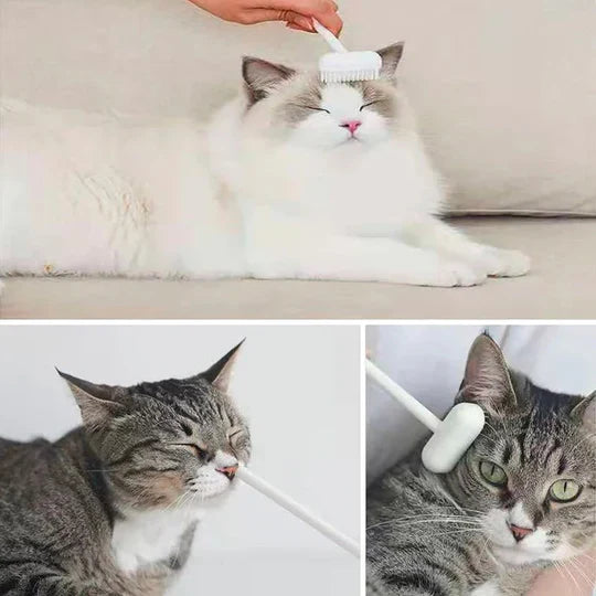 Brosse de Massage Innovante pour les Animaux de Compagnie