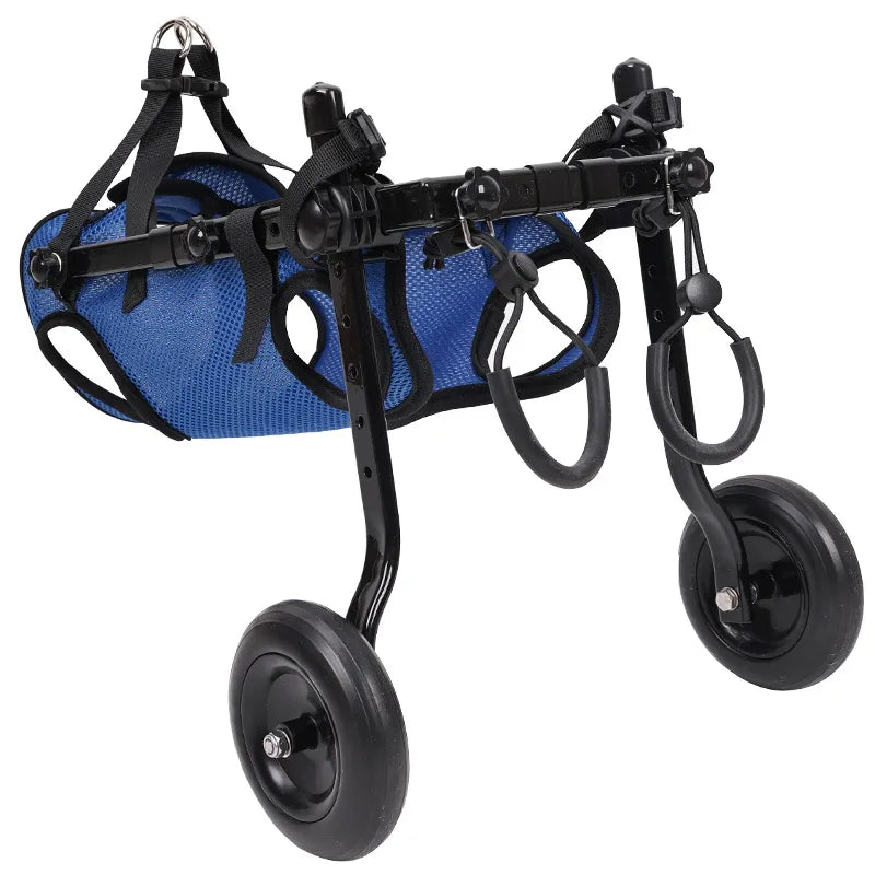 Aide à la Marche pour Chats et Chiens - Fauteuil Roulant pour la Mobilité et L' Indépendance