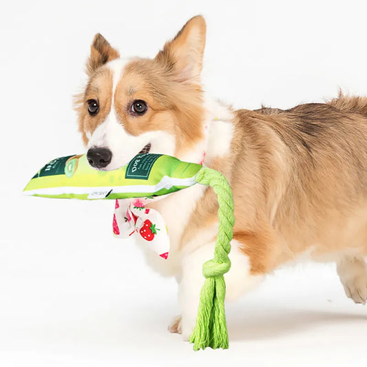 Jouets pour Chiens Confiture de Fruits - Jouet Squeaky avec Corde à Mâcher et à Tirer