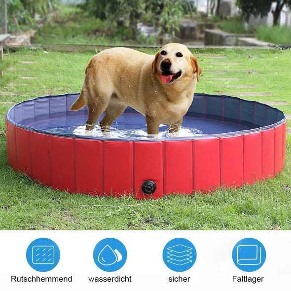 Piscine pour Chiens Pliable pour le Jardin et L' Extérieur