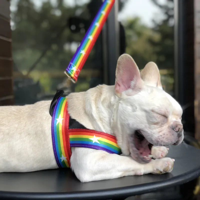 Harnais Pour Chien Arc-en-ciel Avec Étoiles - Souple Et Ajustable Pour Le Confort Et La Sécurité