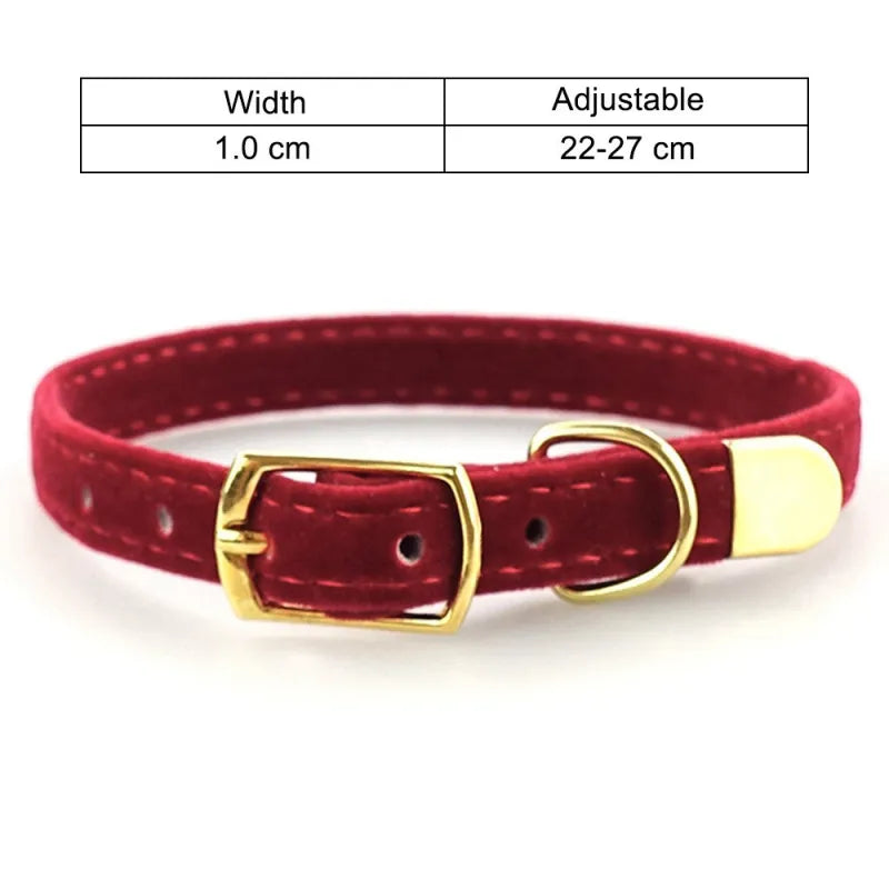 Collier Pour Chat En Velours Avec Boucle Dorée - Réglable Et Élégant