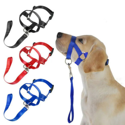 Harnais Réglable Avec Laisse Pour Chiens De Taille Petite Et Moyenne