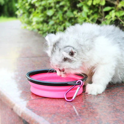 Bouteille Portable D' Eau et de Nourriture 2 en 1 pour Animaux Domestiques