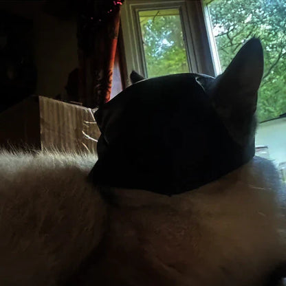 Masque de Chat Héroïque pour des Apparitions Uniques
