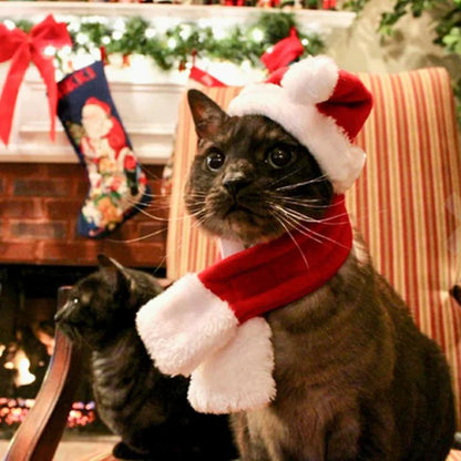 Casquette de Noël avec Écharpe pour Animaux Domestiques