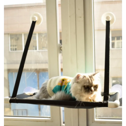 Chat Fenêtre - Peu Encombrant et Stable avec Pieds à Ventouses