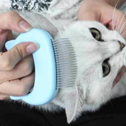 Brosse de Massage et de Soin pour Chats