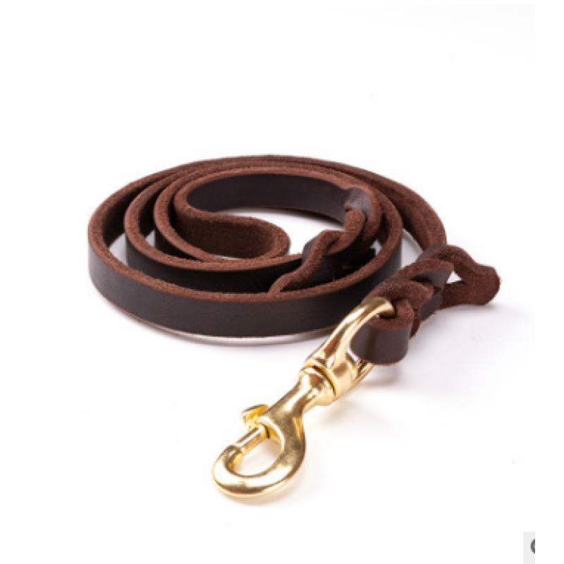 Laisse En Cuir Pour Chien Avec Mousqueton Doré - Accessoire Pour Chien Robuste Et Élégant