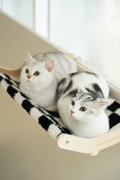 Hamac Pratique Pour Chat