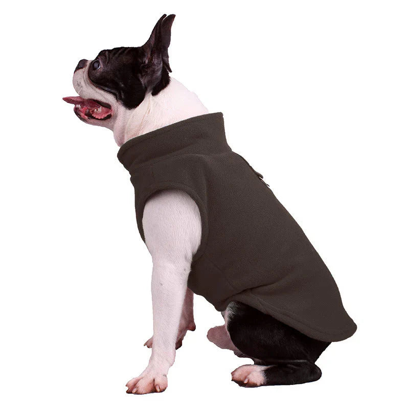 Veste Pour Chien Toute L'année