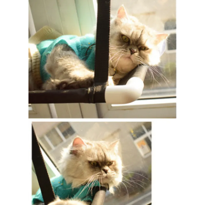 Chat Fenêtre - Peu Encombrant et Stable avec Pieds à Ventouses