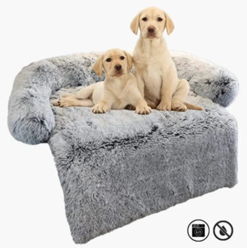 Sofa Luxueux Pour Chien