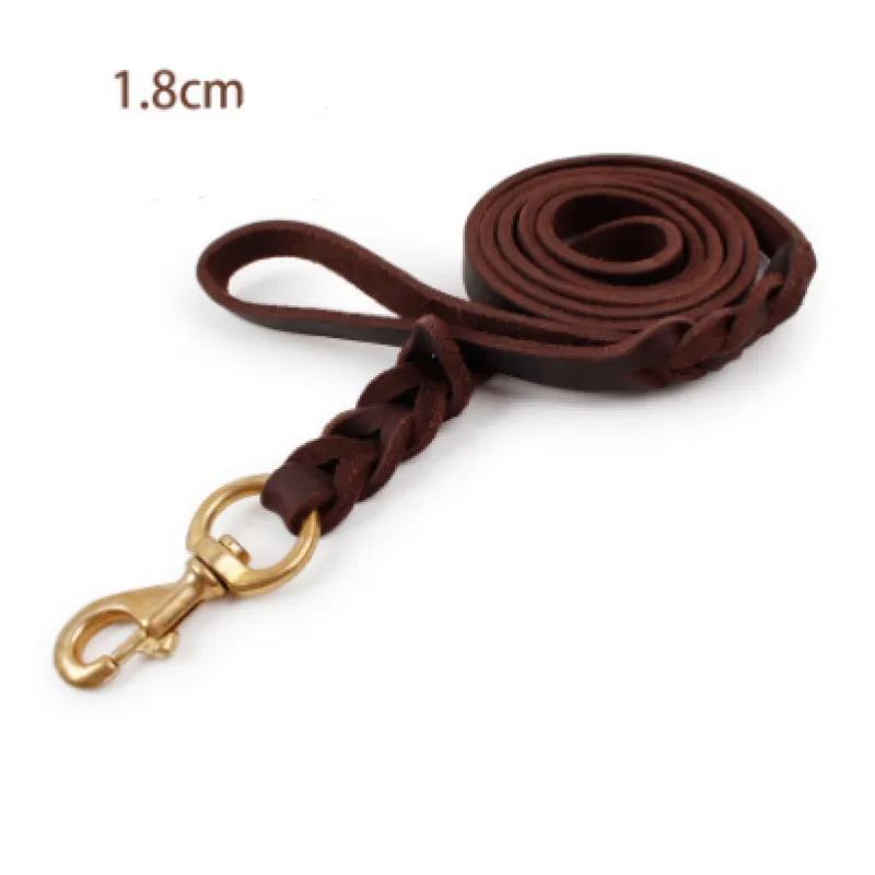 Laisse En Cuir Pour Chien Avec Mousqueton Doré - Accessoire Pour Chien Robuste Et Élégant