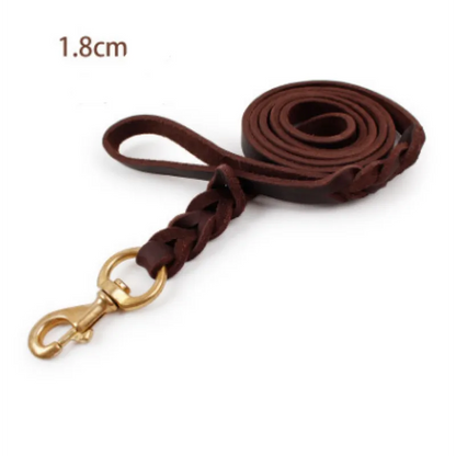 Laisse En Cuir Pour Chien Avec Mousqueton Doré - Accessoire Pour Chien Robuste Et Élégant