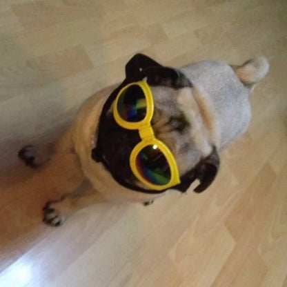 Lunettes De Protection Anti-uv Pour Chiens En 7 Couleurs