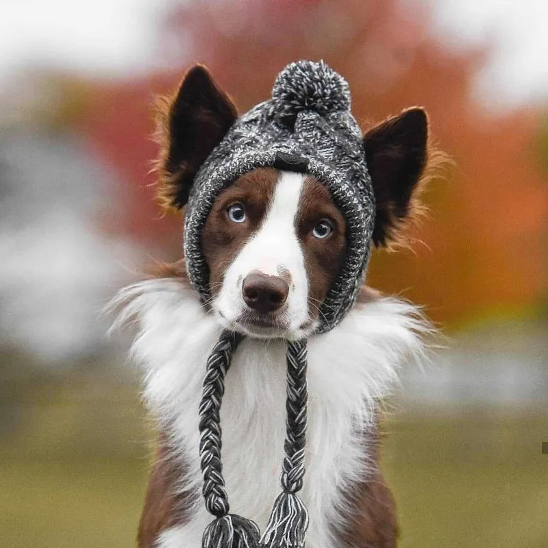 Casquette Stylée Pour Chiens Avec Pompon - Bonnet D' Hiver Chaud Pour Petits Chiens