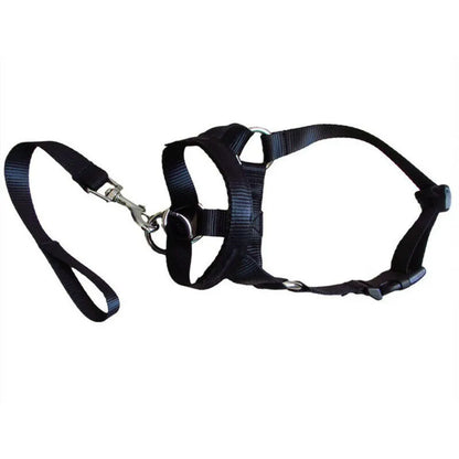 Harnais Réglable Avec Laisse Pour Chiens De Taille Petite Et Moyenne