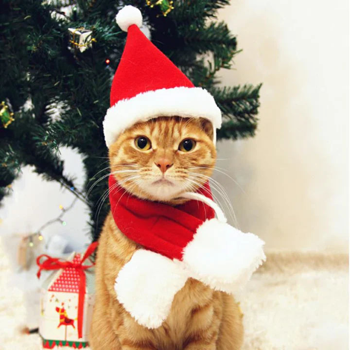 Casquette de Noël avec Écharpe pour Animaux Domestiques