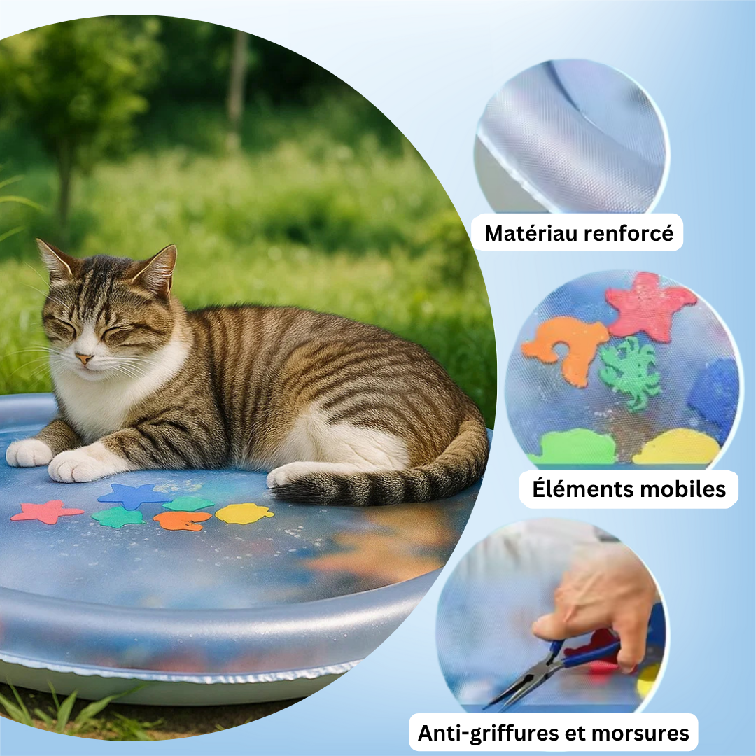 Matelas d’Eau Rafraîchissant pour Chats 2.0