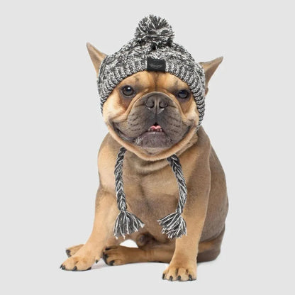 Casquette Stylée Pour Chiens Avec Pompon - Bonnet D' Hiver Chaud Pour Petits Chiens