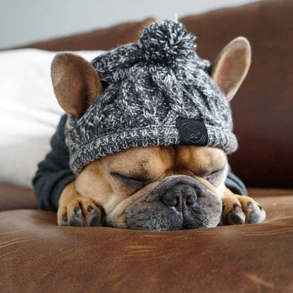 Casquette Stylée Pour Chiens Avec Pompon - Bonnet D' Hiver Chaud Pour Petits Chiens