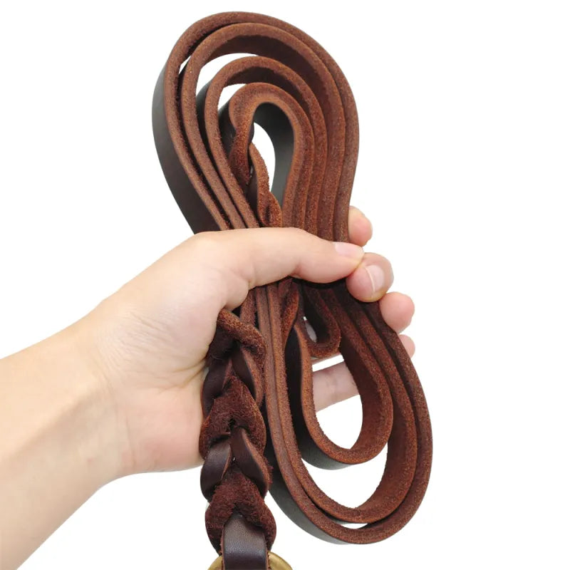 Laisse En Cuir Pour Chien Avec Mousqueton Doré - Accessoire Pour Chien Robuste Et Élégant