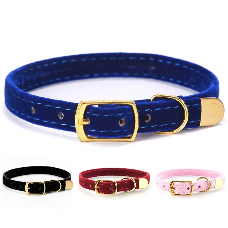 Collier Pour Chat En Velours Avec Boucle Dorée - Réglable Et Élégant