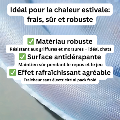 Matelas d’Eau Rafraîchissant pour Chats 2.0