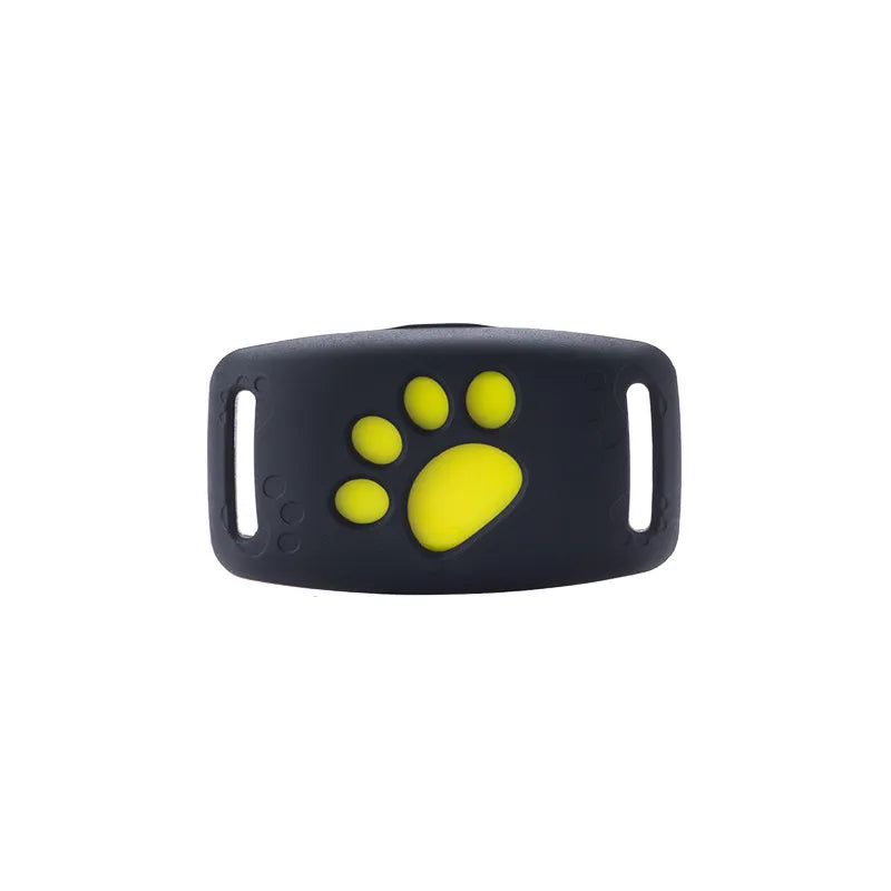 Collier pour Chien avec Fonction Lumineuse Led - Visible dans L' Obscurité Solide et Confortable