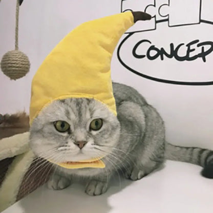 Kit De Toilettage Pour Chats Avec Bigoudis - Matériau Doux Et Facile À Porter