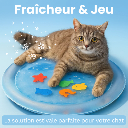 Matelas d’Eau Rafraîchissant pour Chats 2.0