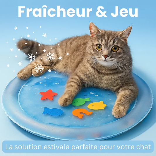 Matelas d’Eau Rafraîchissant pour Chats 2.0