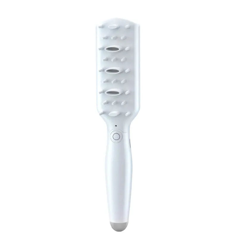 Brosse De Massage Électrique Pour Animaux