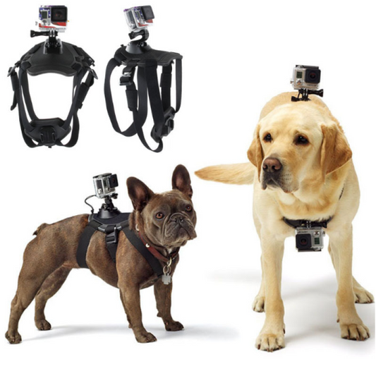 Harnais Pour Caméra D' Action Pour Chiens Avec Support Pour Le Poitrail Et Le Dos